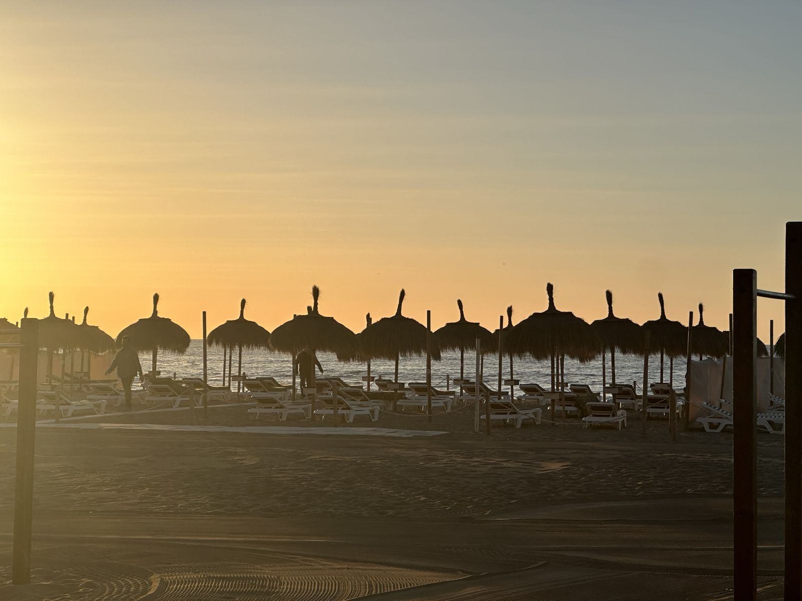 Straw umbrellas on the beach at sunrise