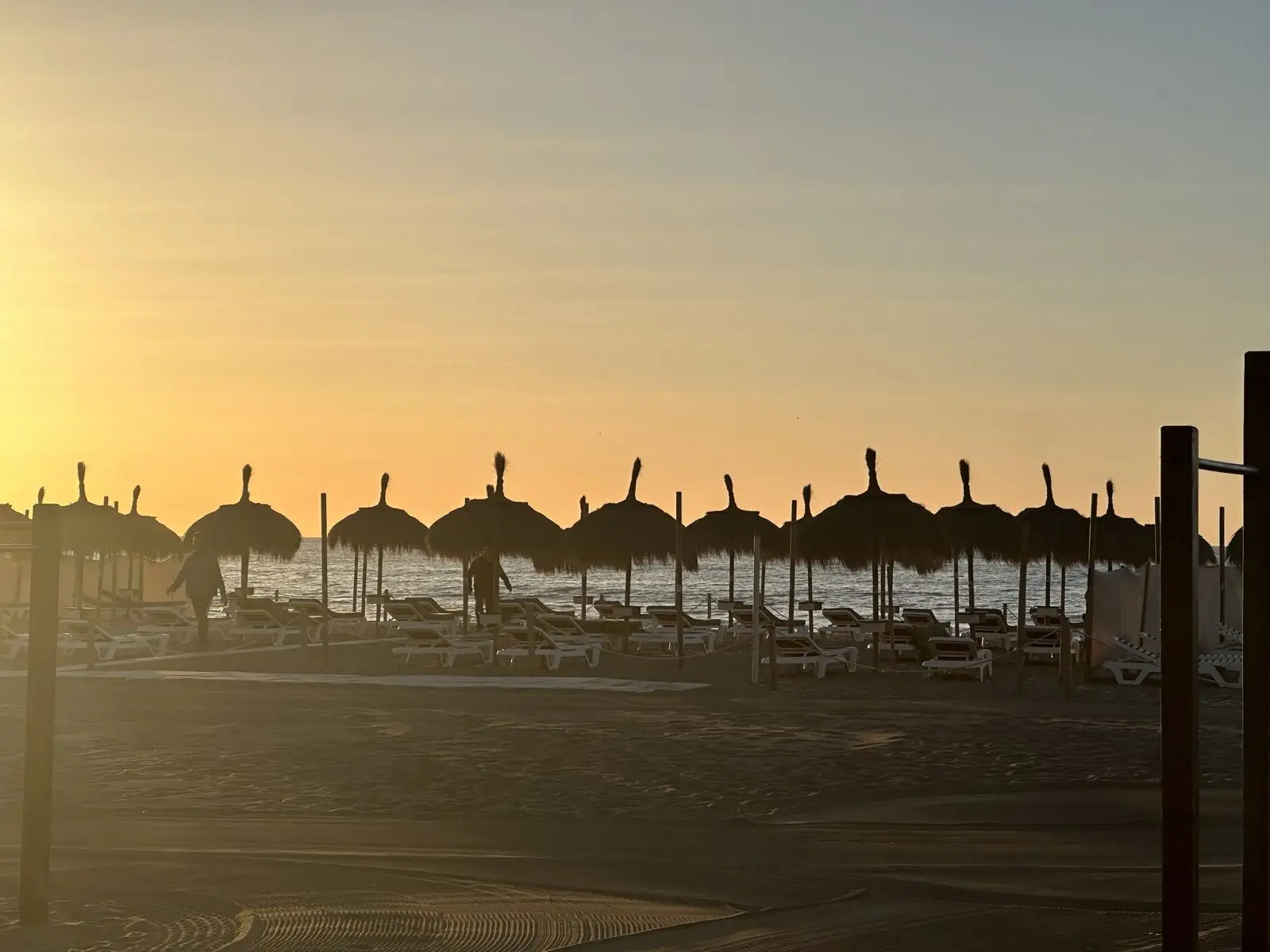 Straw umbrellas on the beach at sunrise