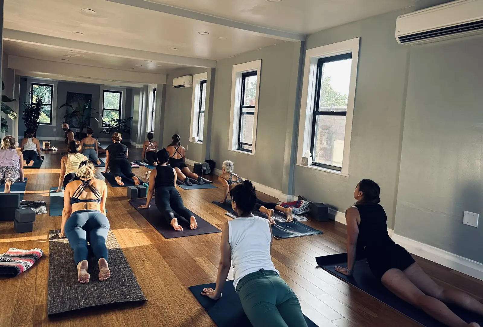 Students lifting into cobra pose in the long, bright studio