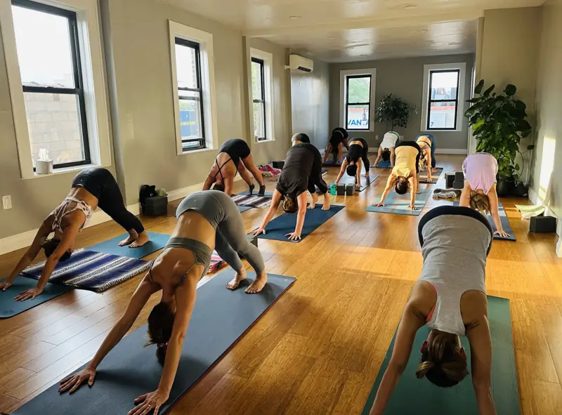 A full class in downward dog in the sunlit studio