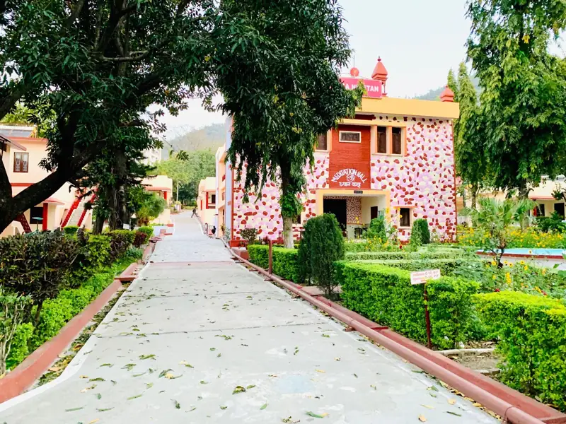A tree-lined path to the ashram meditation hall