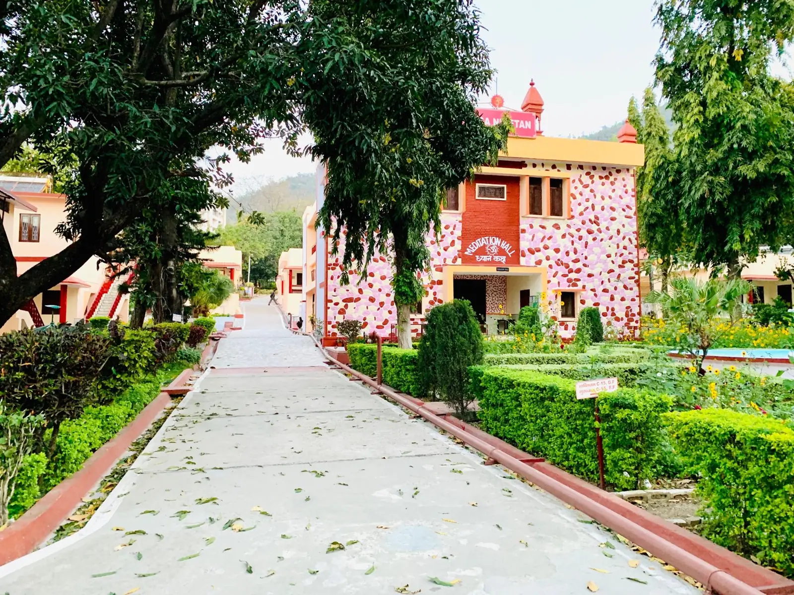 A tree-lined path leading to the ashram meditation hall in Rishikesh