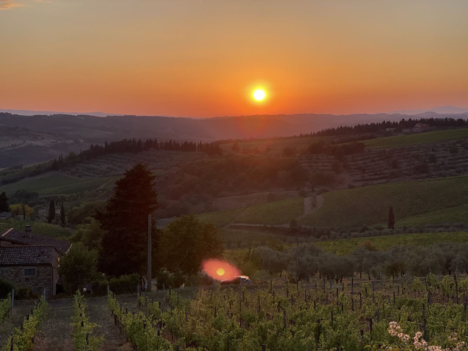Vineyard sunset in the Tuscan hills